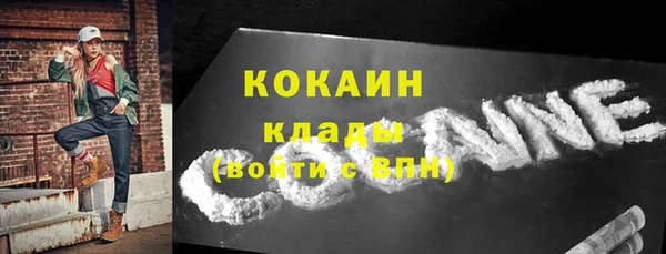 индика Ельня
