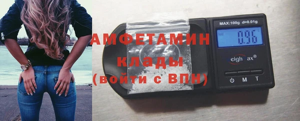 индика Ельня