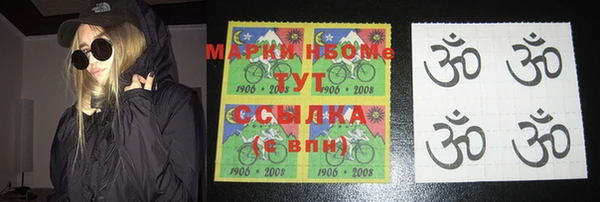 индика Ельня