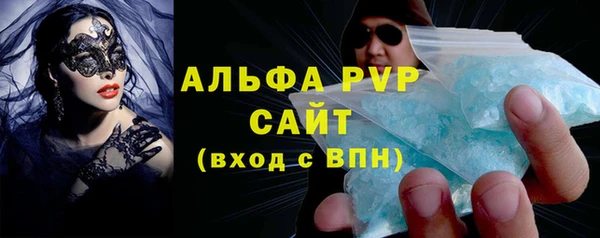 индика Ельня