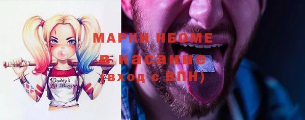 индика Ельня