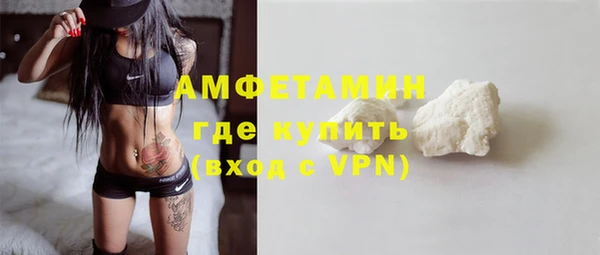 индика Ельня