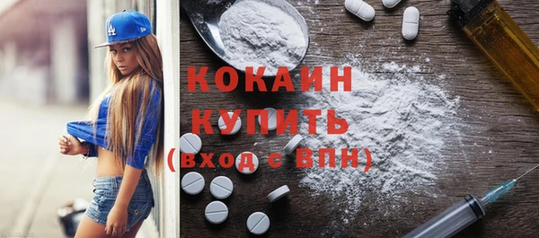 индика Ельня