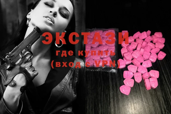 индика Ельня