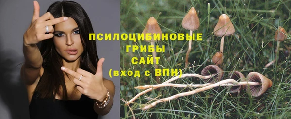 spice Ладушкин