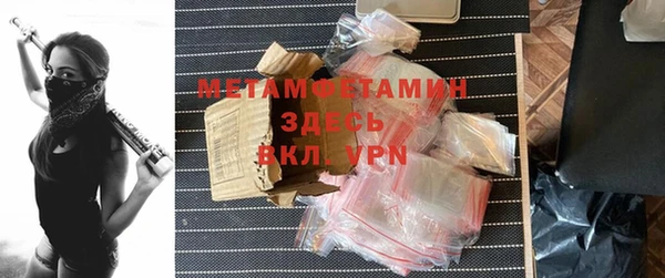 индика Ельня