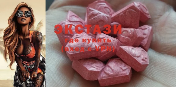 индика Ельня