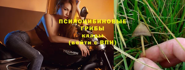 бутират Елабуга