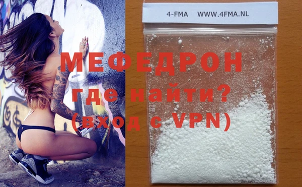 индика Ельня