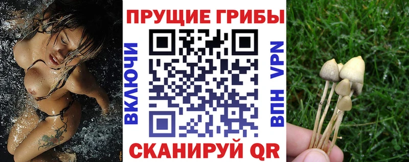 кракен сайт Калач Галлюциногенные грибы мухоморы